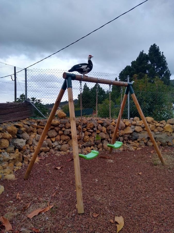 La Tagora Conect With The Nature & Relax Icod De Los Vinos Exterior foto